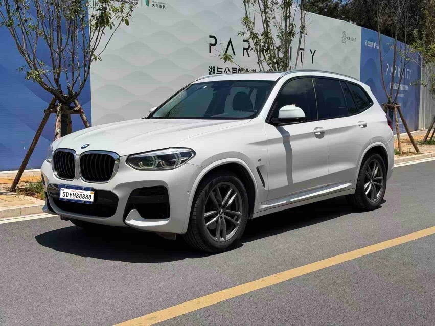 BMW X3 2019 BMW X3 2019 car image