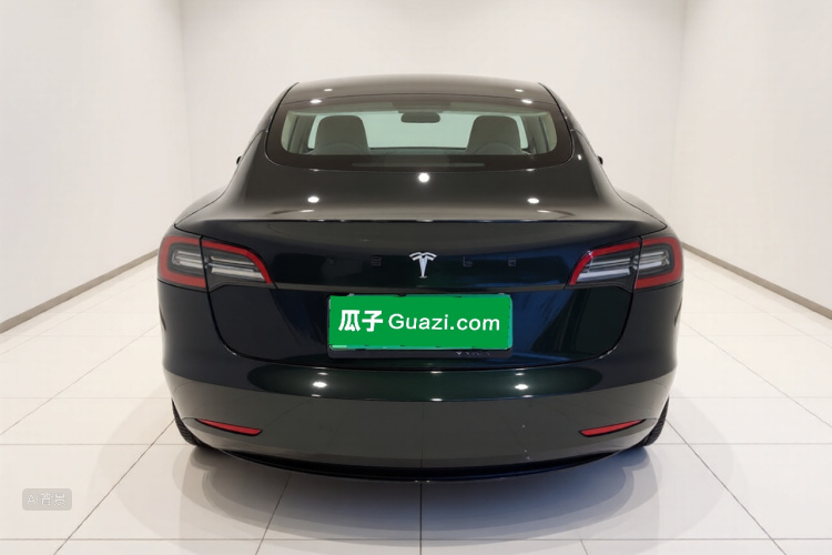 Tesla Model 3 2021 car image #6