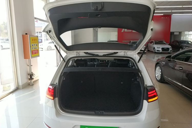 Volkswagen Golf 2020 car image #19