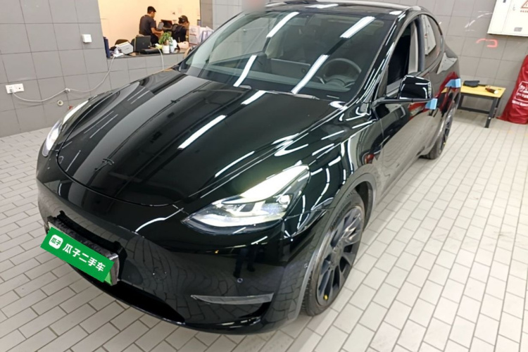 Tesla Model Y 2021 car image #2