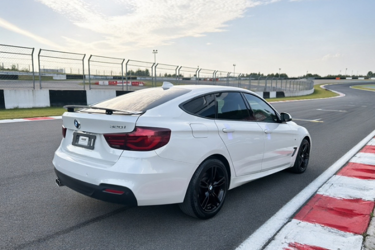 BMW 3 Series GT 2019 #5 BMW 3 Series GT 2019 imagen de coche #5