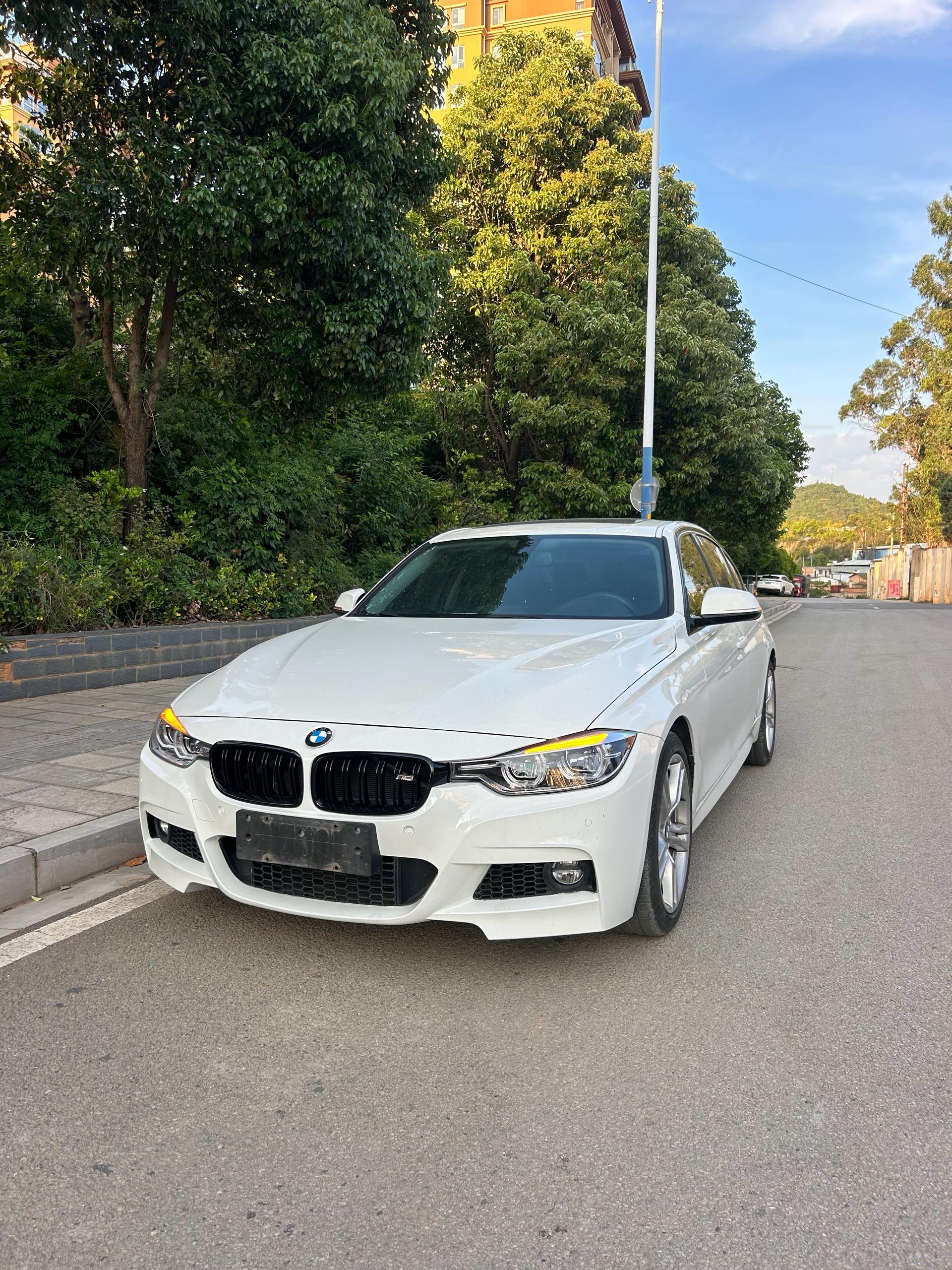 BMW 3 Series 2017 car image 