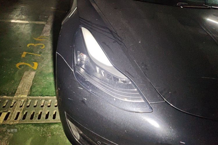 Tesla Model 3 2022 car image #8