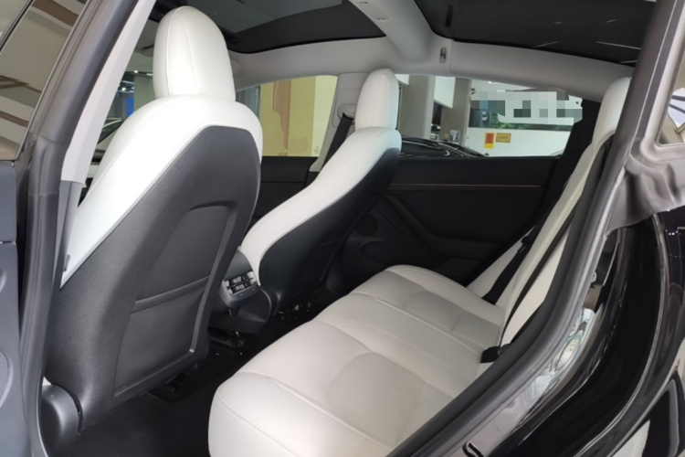 Tesla Model 3 2022 #17 Tesla Model 3 2022 car image #17