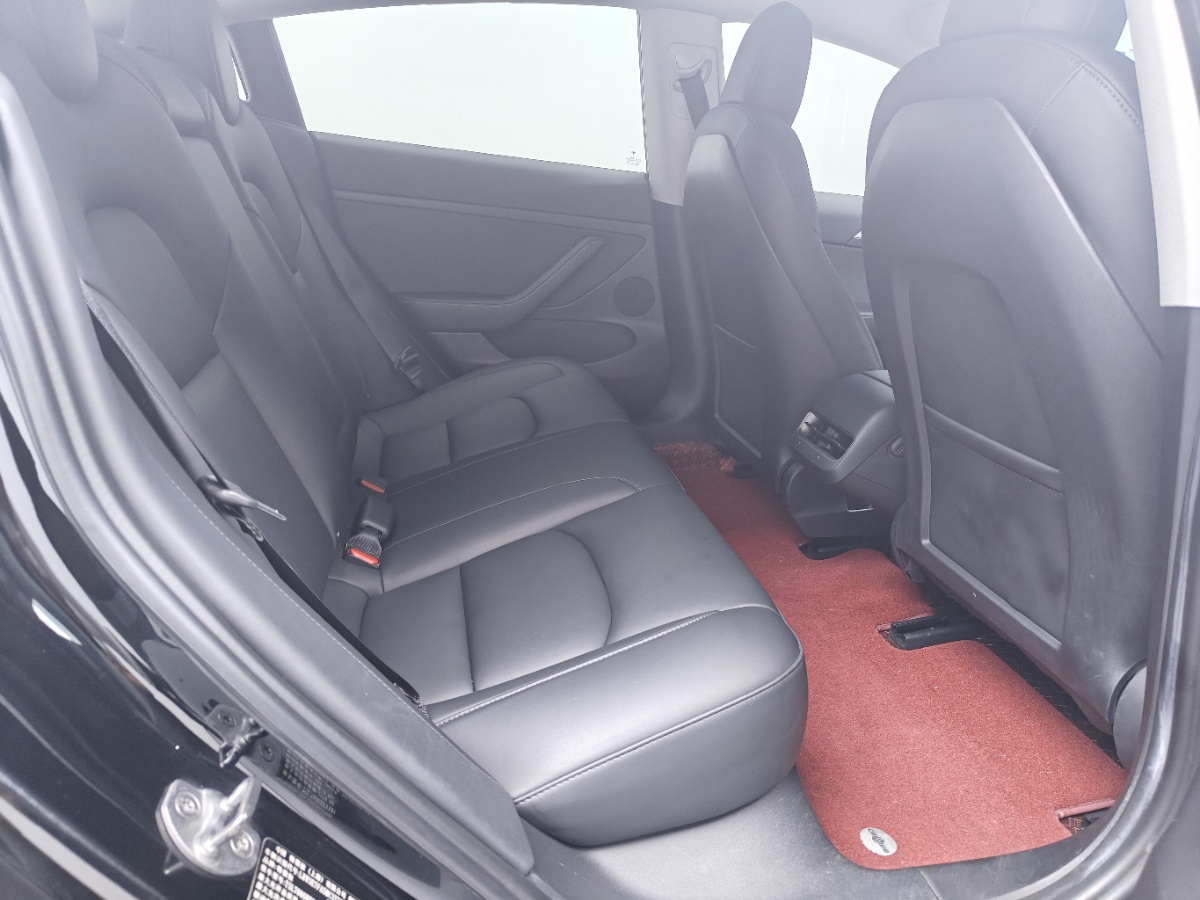 Tesla Model 3 2021 car image #7