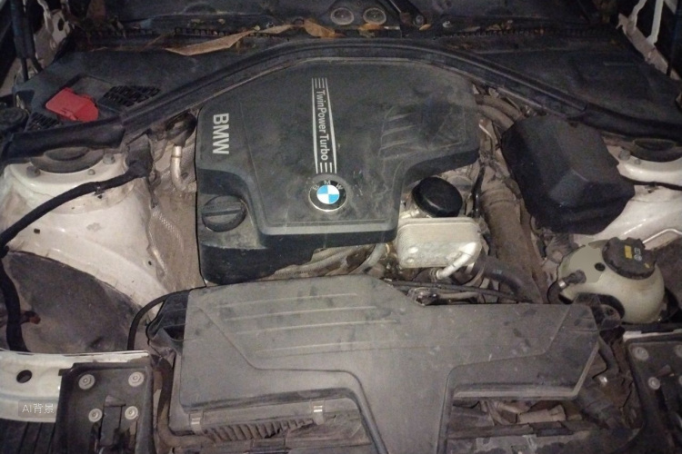 BMW 3 Series 2014 car image #22