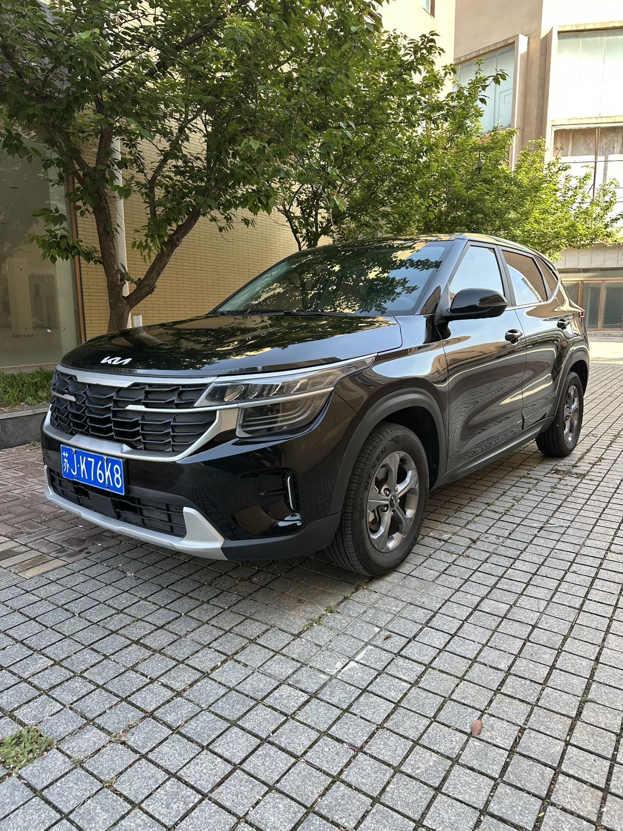 Kia Seltos 2023 car image 
