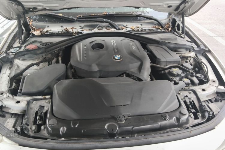 BMW 3 Series 2017 car image #22