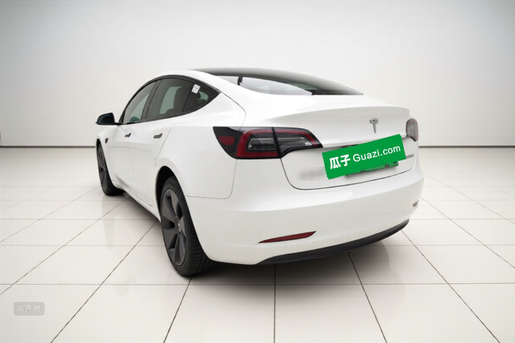 Tesla Model 3 2021 #5 Tesla Model 3 2021 car image #5