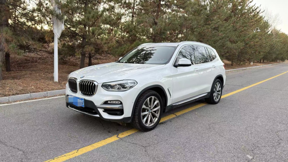 BMW X3 2018 BMW X3 2018 صورة سيارة