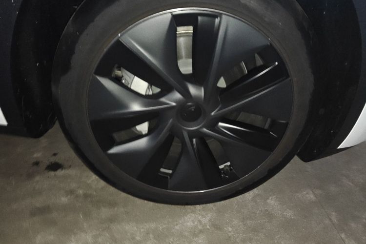 Tesla Model Y 2023 #6 Tesla Model Y 2023 car image #6