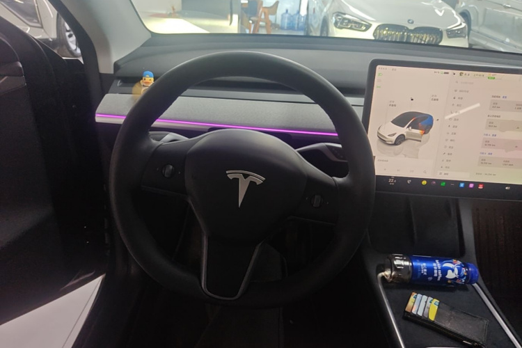 Tesla Model Y 2024 #11 Tesla Model Y 2024 car image #11