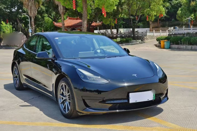 Tesla Model 3 2021 #10 Tesla Model 3 2021 car image #10