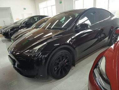 Tesla Model Y 2023 Tesla Model Y 2023 car image