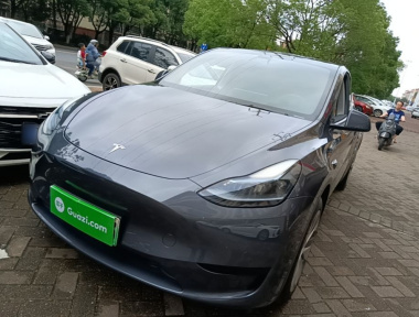 Tesla Model Y 2022 Tesla Model Y 2022 car image