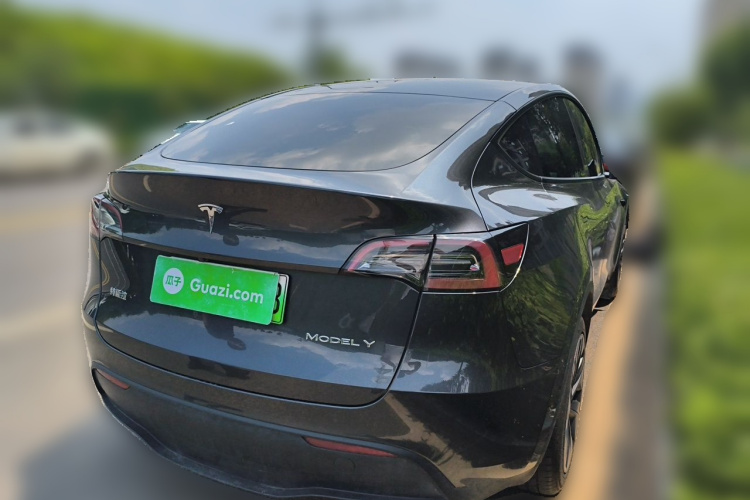 Tesla Model Y 2024 car image #5