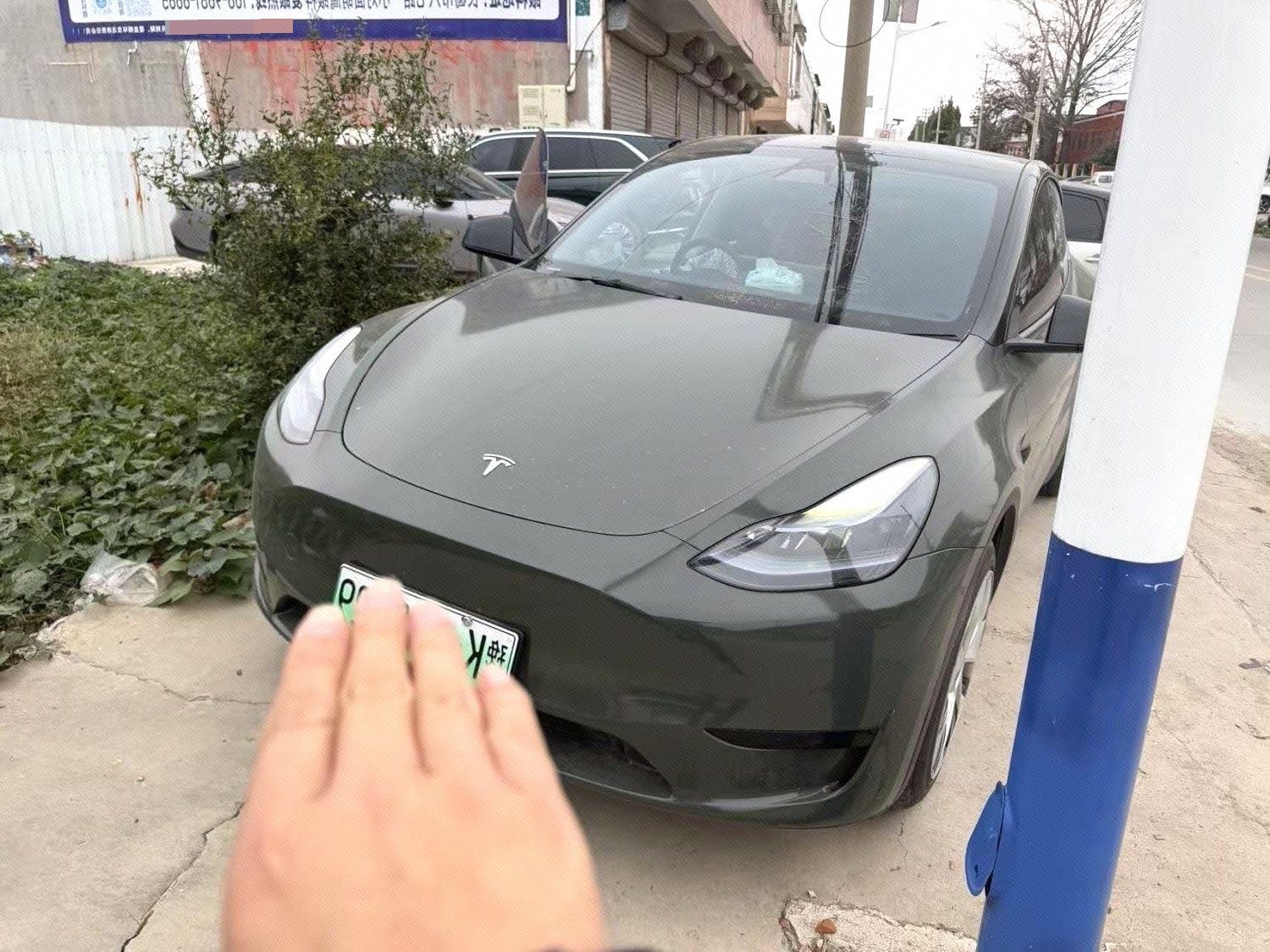 Tesla Model Y 2023 Tesla Model Y 2023 car image