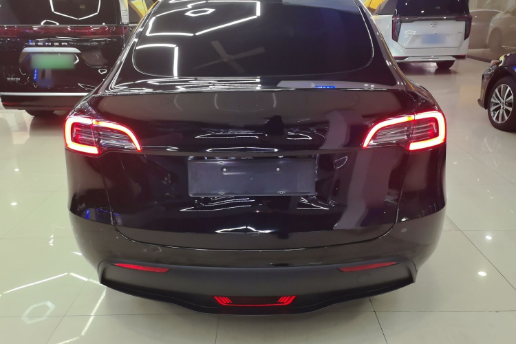 Tesla Model Y 2023 #6 Tesla Model Y 2023 car image #6