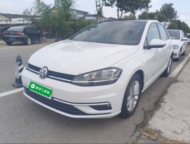 Volkswagen Golf 2019 Volkswagen Golf 2019 car image