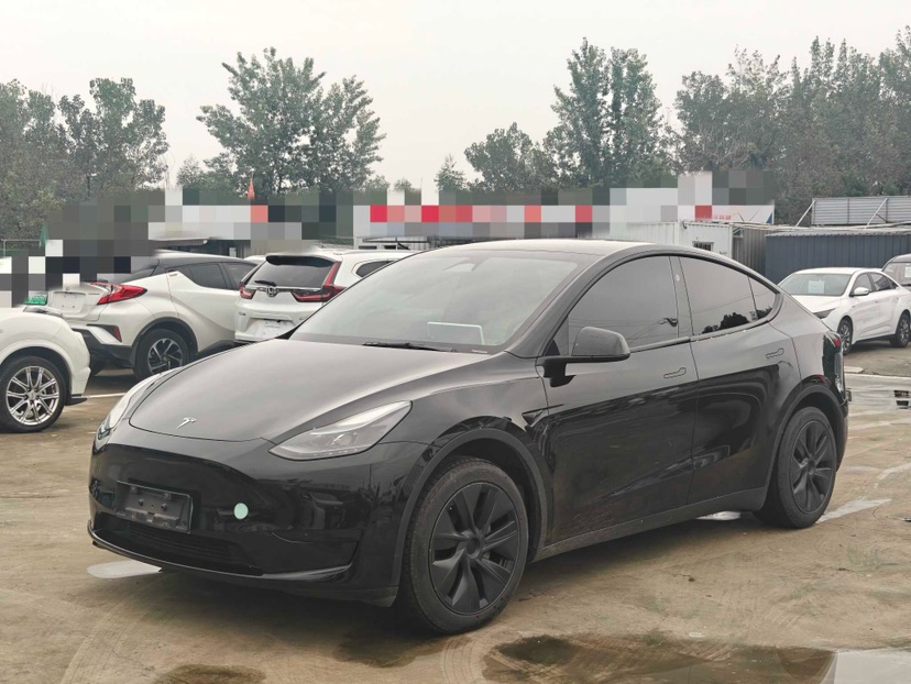 Tesla Model Y 2024 Tesla Model Y 2024 car image