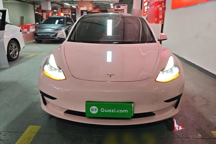 Tesla Model 3 2021 #3 Tesla Model 3 2021 car image #3