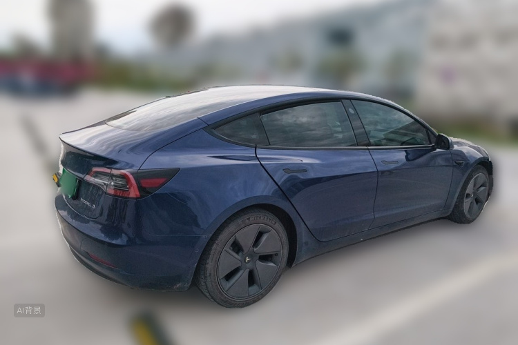 Tesla Model 3 2021 car image #7