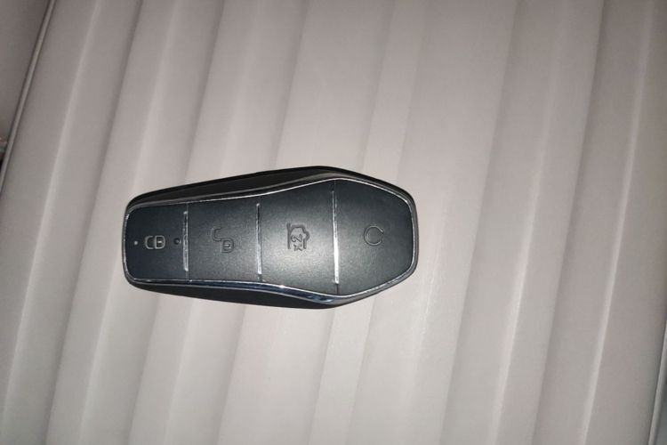 BYD Yuan Plus 2023 car image #9