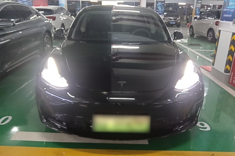 Tesla Model 3 2022 #3 Tesla Model 3 2022 car image #3