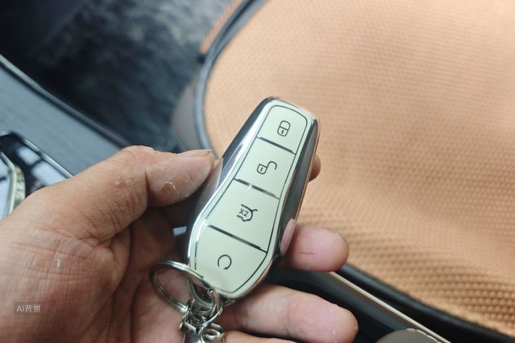 BYD Han 2022 car image #10