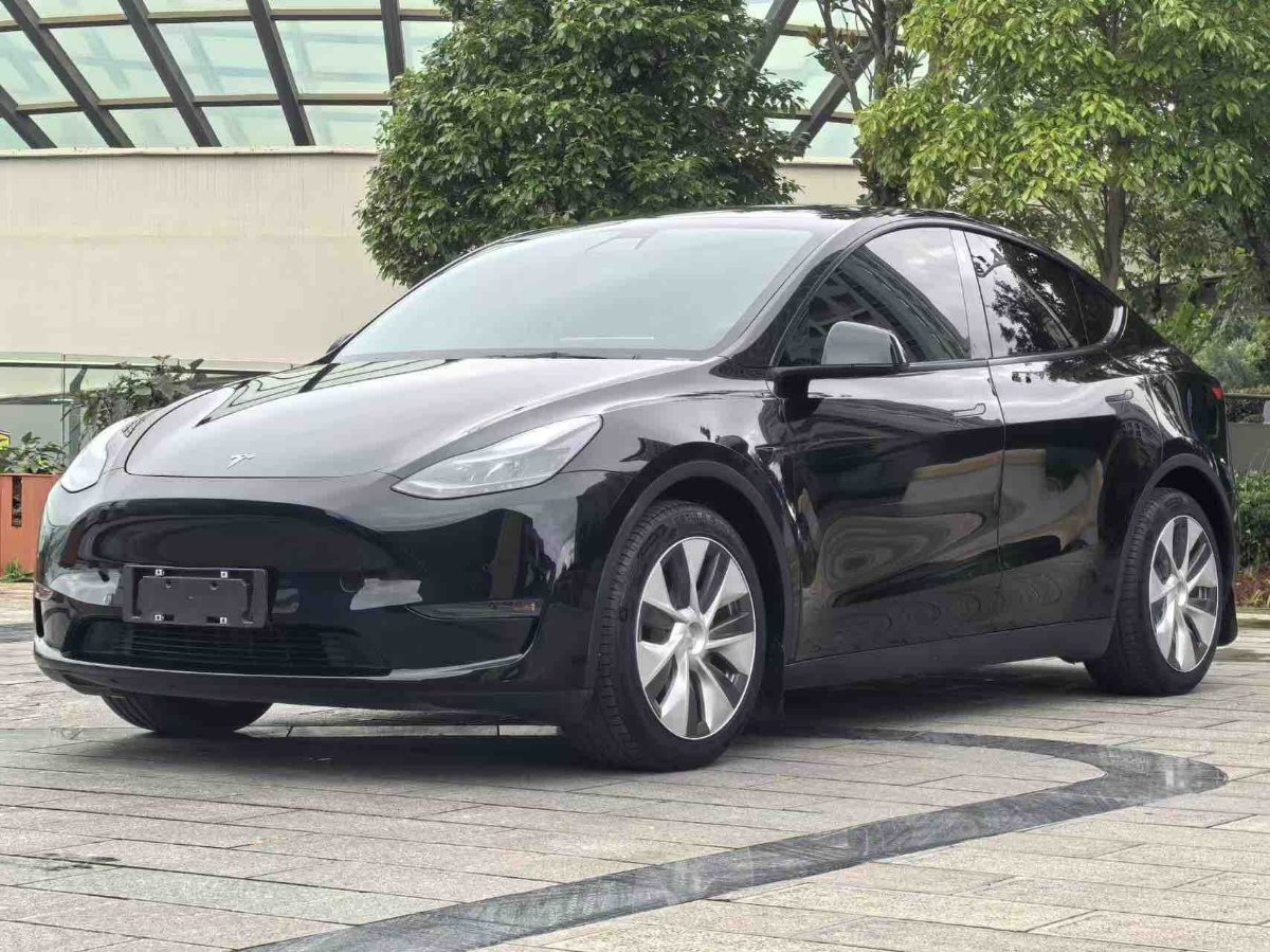 Tesla Model Y 2021 Tesla Model Y 2021 car image