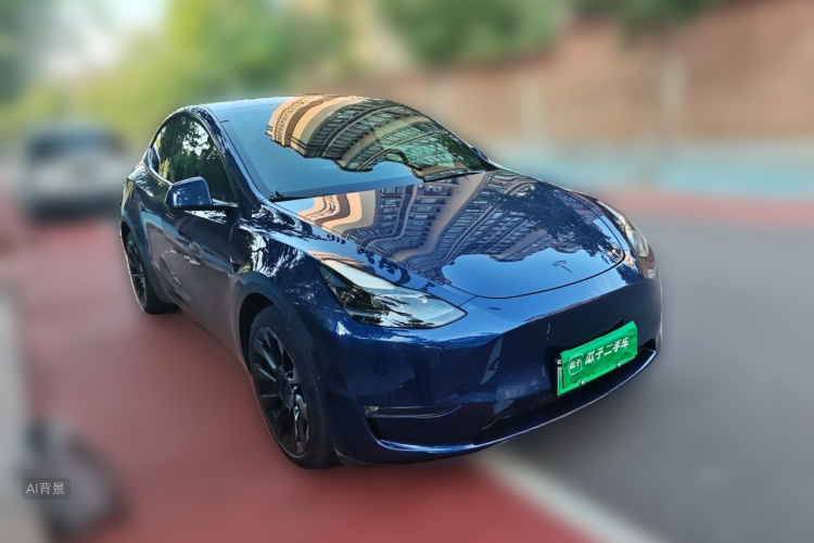 Tesla Model Y 2021 car image #4