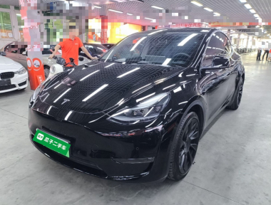 Tesla Model Y 2021 immagine di auto 