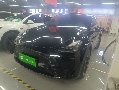 Tesla Model Y 2023 Tesla Model Y 2023 car image