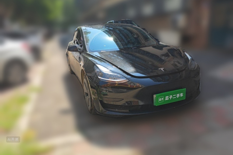 Tesla Model 3 2023 car image #4