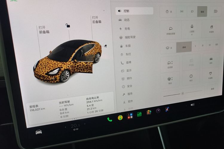 Tesla Model 3 2020 #12 Tesla Model 3 2020 car image #12