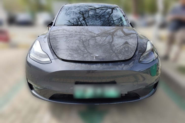 Tesla Model Y 2021 #3 Tesla Model Y 2021 car image #3