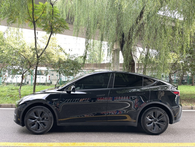 Tesla Model Y 2024 imagen de coche #4