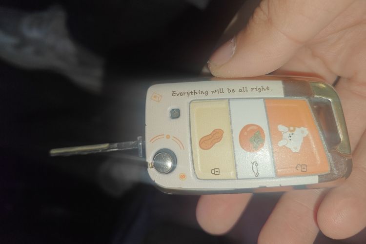 大众 探影 2021 汽车图片 #9