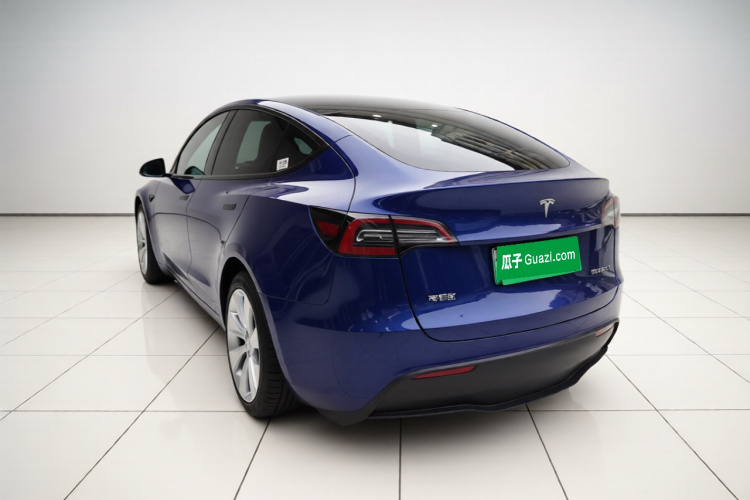 Tesla Model Y 2021 car image #5