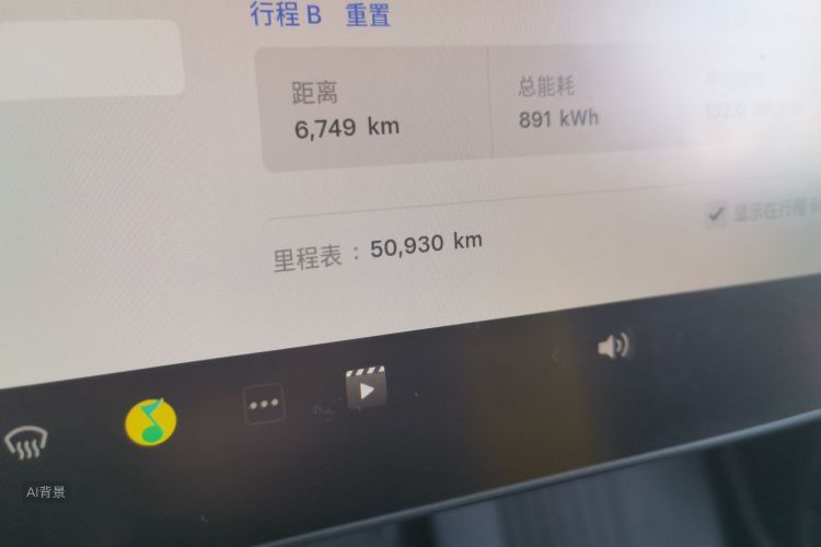Tesla Model Y 2022 car image #14