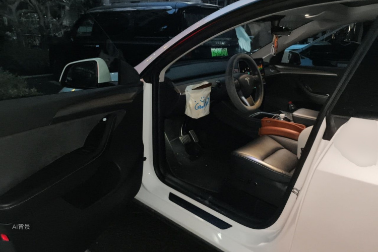 Tesla Model Y 2021 #18 Tesla Model Y 2021 car image #18