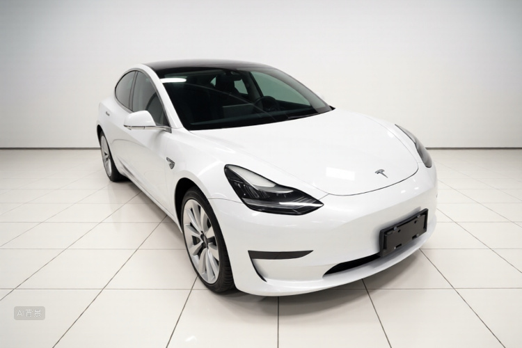 Tesla Model 3 2020 car image #4