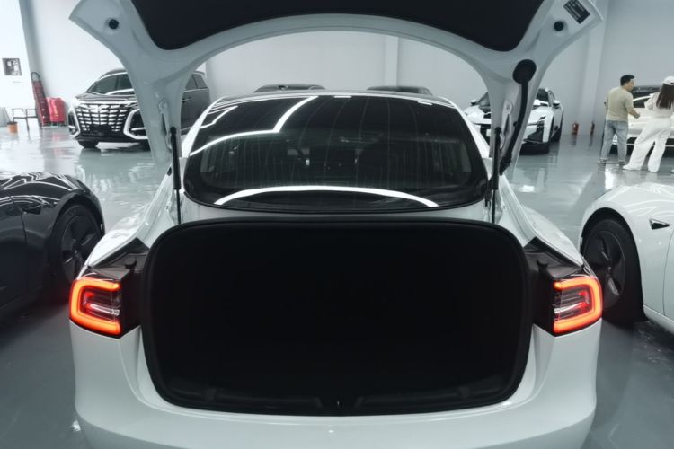 Tesla Model 3 2020 car image #19
