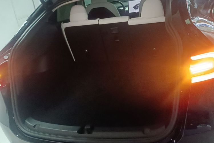 Tesla Model Y 2022 #19 Tesla Model Y 2022 car image #19