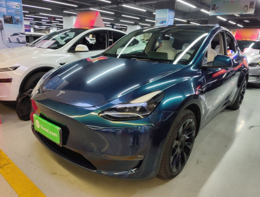 Tesla Model Y 2022 car image 