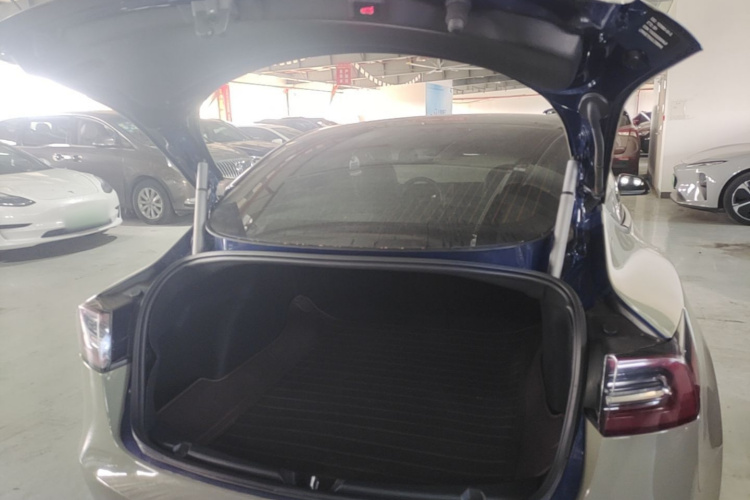 Tesla Model 3 2020 #19 Tesla Model 3 2020 car image #19