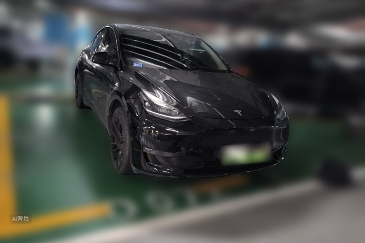 Tesla Model Y 2021 car image #4