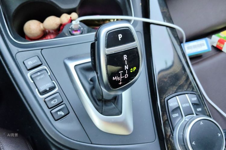 BMW 3 Series 2018 car image #16