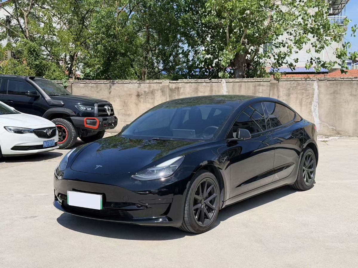 Tesla Model 3 2023 car image 