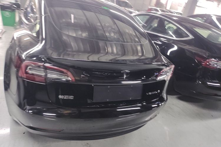 Tesla Model 3 2021 #6 Tesla Model 3 2021 car image #6